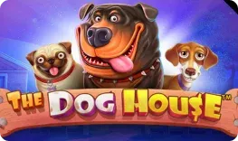 Rollero – The Dog House